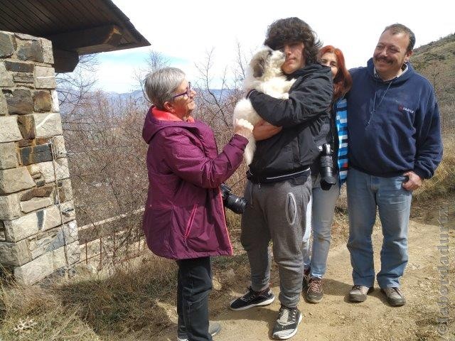 Perro de Montana del Pirineo