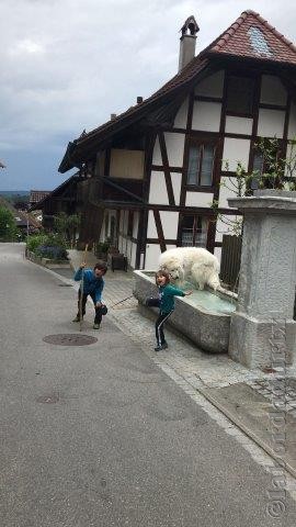 Perro de Montana del Pirineo